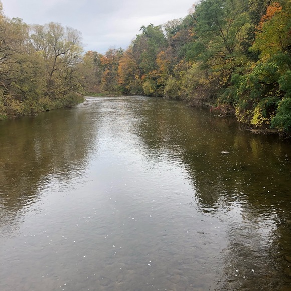 Meet your Posher, Luisa - Picture 10 of 13